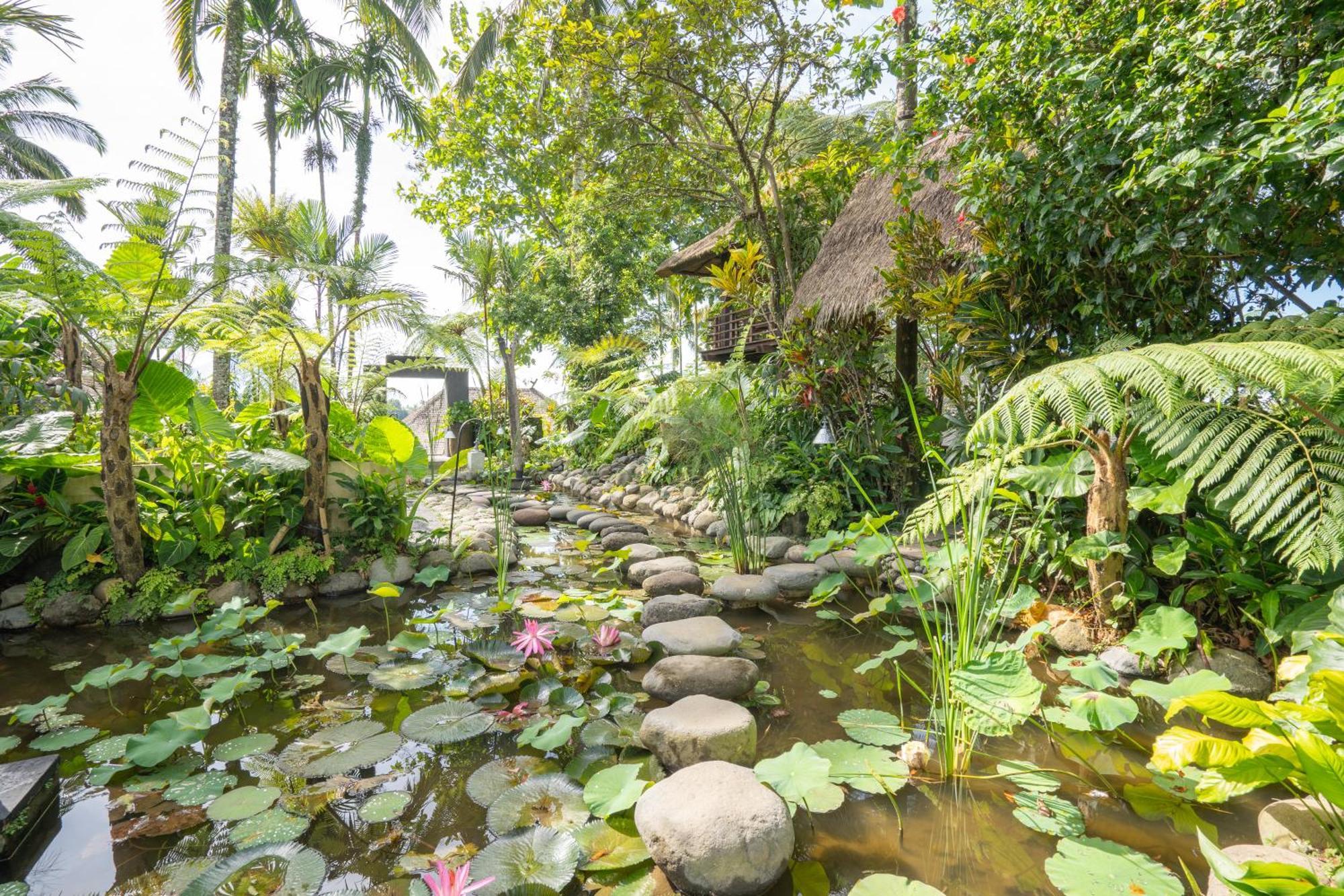 Awan Putih Resort Payangan Zewnętrze zdjęcie